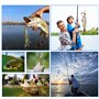 SPORWAY Leurres Pré-Équipés : 3 Pièces Leurres Souples TPE Super Durables, Swimbaits Réalistes Crevettes Écrevisses, pour Eau Do