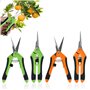 LEKEFETO Lot de 4 petits ciseaux de jardinage