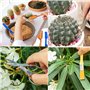 Ensemble d'outils pour bonsaï, kit d'outils pour bonsaï Mini outils de jardinage 13 pièces outil de repiquage de jardin Kit d'es