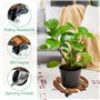 Plateau Roulette Plante