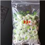 20 x White Pan Head Screws Polypropylene (PP) Plastic Nuts and Bolts, Washers, M8 x 20mm