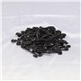 EMSea 100pcs Plante Clips, Attachés Pinces, Crochets Plastique pour Fruits Raisin Vigne Fixation Outils de Jardinage