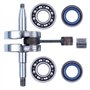 Haishine Kit de moteur de joint d'huile de roulement à billes de vilebrequin de pour Husqvarna 268 61 66 266 272 272XP de pièces
