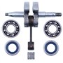 Haishine Kit de moteur de joint d'huile de roulement à billes de vilebrequin de pour Husqvarna 268 61 66 266 272 272XP de pièces