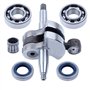 Haishine Kit de moteur de joint d'huile de roulement à billes de vilebrequin de pour Husqvarna 268 61 66 266 272 272XP de pièces