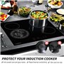 Protege Plaque Induction