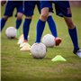 YSDMY Cônes de Marqueurs 15 Pièces Plots Sport Cônes de Disques Variété de Couleurs Cone Sport Football Cone de Signalisation Pl