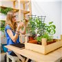 6 Pièces Treillis à Plantes Grimpantes - Support Réutilisable pour Légumes en Pot, Plantes d'Intérieur et Jardinières - Tuteur D