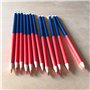 Ncheli 12 pcs Crayon Rouge et Bleu,Double tête école dessin crayon Crayons de couleur à double extrémité pour Dessin Coloration 