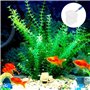 Liwein 3 Pièces Epuisette de Pêche aux Crevettes Pliable Téléscopique Mini Filet de Pêche Filet d'atterrissage en Acier Inoxydab