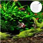 Liwein 3 Pièces Epuisette de Pêche aux Crevettes Pliable Téléscopique Mini Filet de Pêche Filet d'atterrissage en Acier Inoxydab