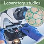 100 PièCes Lames De Microscope Pré-NettoyéEs Et 200 PièCes Verres Microscope PréParéEs Pour Microscope Et L'éTude La Biologie De