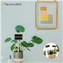 JJWNMLL Lot de 20 etiquette plante - 24×7cm plantes exterieur plante - Rectangulaires en Bois pour Plantes etiquette -Étiquettes