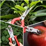 Lot de 3 sécateurs de jardin, ciseaux de récolte, ciseaux précis et sécateurs, ciseaux à roses tranchants en acier inoxydable, s