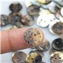 Hyakoz 100 Pièces 12,5mm Naturel Boutons en Nacre à Coudre Ronds pour Fait Main DIY Tricot Couture Vêtements Artisanat - Coquill