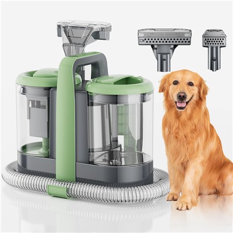 Machine de nettoyage de tapis