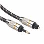 GELRHONR Câble Toslink vers Mini Toslink