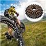 7 Vitesses Roue Libre de Vélo Pignon de Cassette à Roue Libre Accessoire de Remplacement pour VTT Vélo de Mon