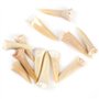 ANCLLO Lot de 5 spécimens naturels de dents de requin fossiles pour l'éducation et la décoration de la maison