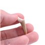 ANCLLO Lot de 5 spécimens naturels de dents de requin fossiles pour l'éducation et la décoration de la maison