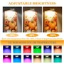 HASAIKA® Lumières murales pour cadres d'art, Eclairage Tableau LED Sans Fil, 2 Pièces Lampe Tableau sans Fil Rechargeable dimmab
