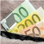 Lot de 2 pinces à billets en acier inoxydable argenté pour argent et cartes de crédit pour homme et femme, Silver