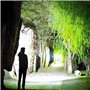 Lampe Frontale LED Rechargeable WESLITE 10000 Lumens XHP70.2 Lampes Frontales Puissante Phare de Travail Haute Puissance Phare Z