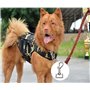 OWAYOTO Lot de 8 mousquetons pivotants pour laisse de chien, fermoir à boucle pour animal domestique, porte-clés pour attacher l