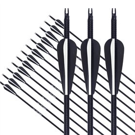 EinMAIQi Lot de 12 flèches pour tir à l'arc en fibre de verre de 81 cm - Pour adultes - 500 arcs d'arc - Pour la pratique du tir