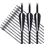 EinMAIQi Lot de 12 flèches pour tir à l'arc en fibre de verre de 81 cm - Pour adultes - 500 arcs d'arc - Pour la pratique du tir
