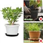 Lot de 8 soucoupes rondes en plastique noir pour pot de fleurs, 2 soucoupes pour pot de fleurs de tailles mixtes, pour intérieur