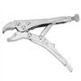 Pinces de verrouillage Set, Ground Mouth Straight Lock Pinces 2Pcs Set Clamp Locking Piers Tools