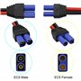 GINTOOYUN Câble EC5 vers SAE, fiche EC5 F/M vers connecteur SAE, câble d'alimentation automobile 10AWG pour batteries de panneau