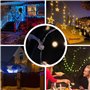 Surflyee Lot de 100 Crochets de Gouttières pour Accrocher les Guirlandes de Noël pour les Lumineuse Intérieur et Extérieur Unive