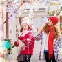Surflyee Lot de 100 Crochets de Gouttières pour Accrocher les Guirlandes de Noël pour les Lumineuse Intérieur et Extérieur Unive