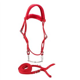 Bridon Cheval
