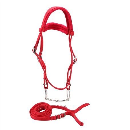 Bridon Cheval