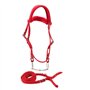 Bridon Cheval