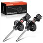 Frankberg Lot de 2 amortisseurs avant compatibles avec Nemo Kasten AA 1