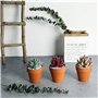 5cm Pot Plante en Plastique Fleur Interieur Pot Plastique Plante Mini Pots de Plante avec Trou