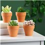 JDCMEI 20 Pièces Pots de Fleurs, 5cm Pot Plante en Plastique Fleur Interieur Pot Plastique Plante Mini Pots de Plante avec Trou 