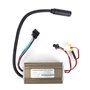 Bnineteenteam Contrôleur électrique de Moteur de Bicyclette, Panneau de contrôleur de 36V pour l'accessoire électrique de Bicycl