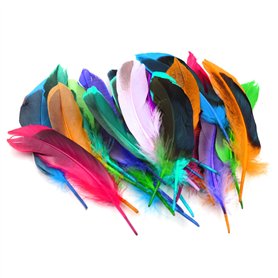HDGSAFD Lot de 50 plumes colorées
