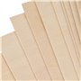 feuilles de tilleul non finies pour modèles