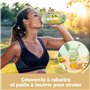 AMZCHEF Blender Portable - Mini Mixeur Sous Vide Pour Les Shake Et Les Smoothie - Forte Puissance De Coupe Avec 10 Lames, Rechar