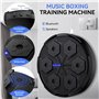 Machine de boxe musicale 5.0 intelligente Bluetooth améliorée - Montage mural - Équipement de frappe électronique - Équipement d