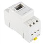 Commutateur Électronique à Minuterie Numérique Programmable LCD THC 30A 12/24/110/220V (12V), Changement de Source d'alimentatio