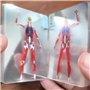 bjlysk The Body Deck Jeu de cartes squelette humain – Outil d'étude d'anatomie transparent et jeu de poker éducatif | Cartes en 