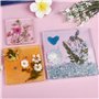 Vraies Fleurs Pressées Séchées pour Décorations Florales Art Artisanat Scrapbooking Fleurs Pressé Séchées pour Bricolage Bougie 