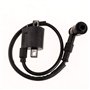 KESOTO Faisceau De Cables Electrique Complet Cdi pour VTT Quad Dirt Bike 150-250cc
